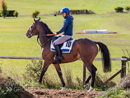 NH280922-30 - Pentland Hills